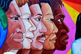 SOCIEDAD PLURICULTURAL