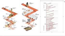 Timeline: Prehistoria día 1