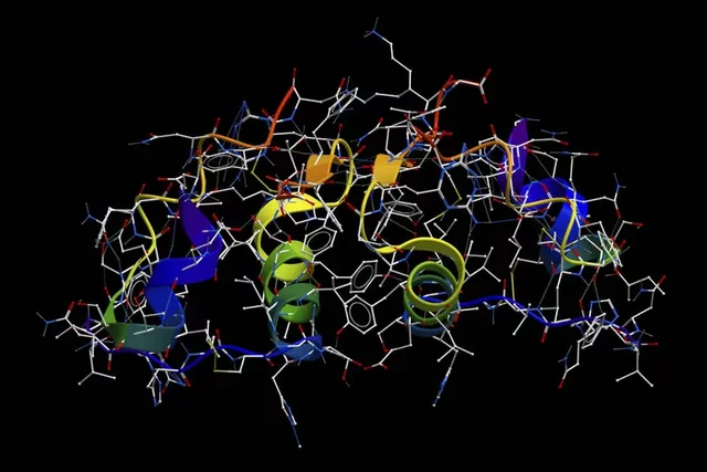 The discovery of homeostasis by Claude Bernard