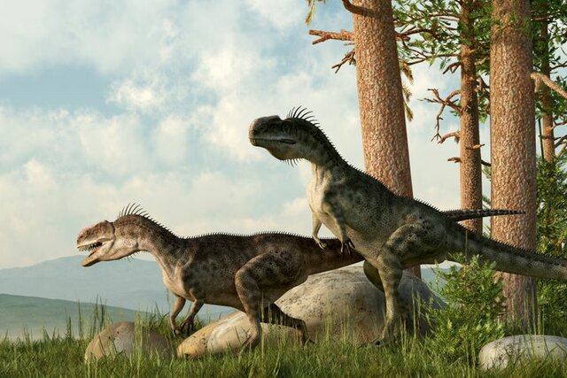 Mesosoikum