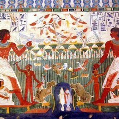 Timeline: Perspectiva Jerárquica