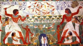 Timeline: Perspectiva Jerárquica