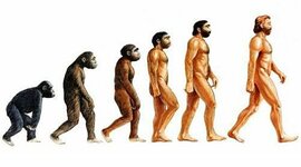 Timeline: Posturas de la evolución