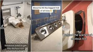 Kids charged and arrested for devious licks