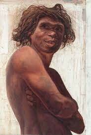 Homo antecessor