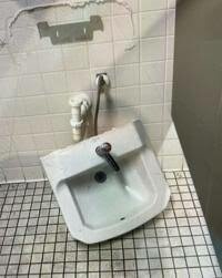 Student rips sink off of the wall in a certainly devious lick