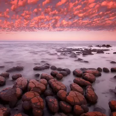 Timeline: 10 eventos desde la creación de la Tierra