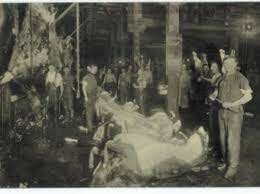 "The Jungle" Published