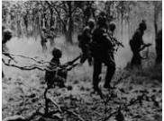 Battle of Ia Drang Valley