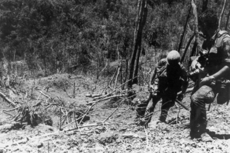 Battle of Hamburger Hill