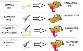 Condicionamiento Clasico