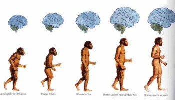 Homo sapiens sapiens