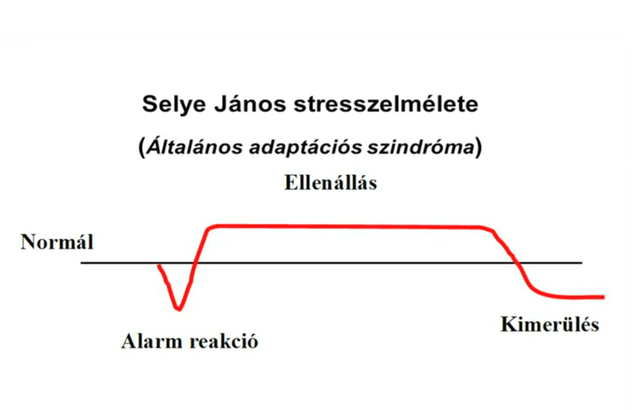 Selye stresszelmélete