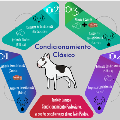 Timeline: Condicionamiento Clásico y Condicionamiento Operante