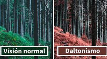 Dalton descubre la ceguera a los colores, que aún se sigue llamando daltonismo en su honor.