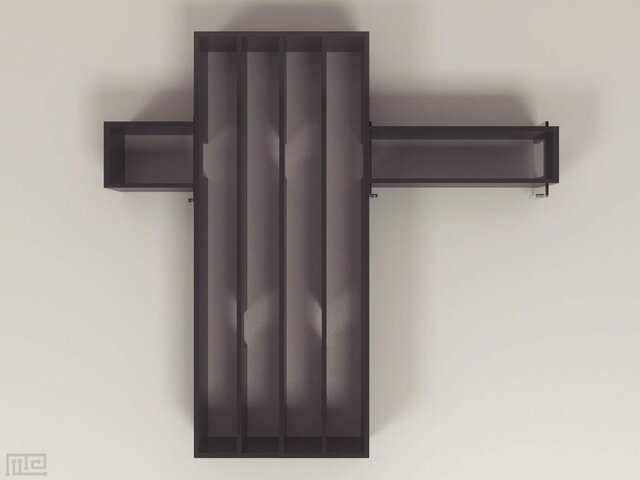 Experimentación animal de Lashley