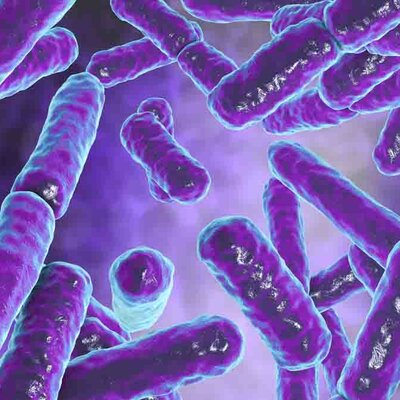 Timeline: Historia de la microbiologia