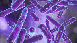 Timeline: Historia de la microbiologia