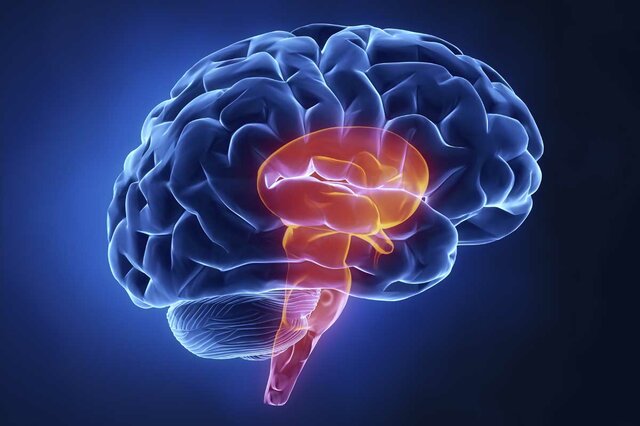 Las emociones (Goleman)