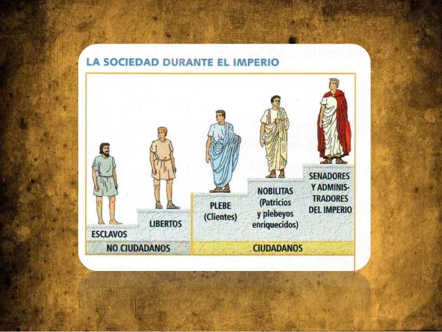 División de la sociedad