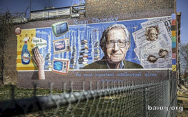 Noam Chomsky