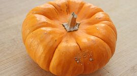 Timeline: 5th grade Science Fair Project