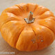 Pumpkin decomposition 2