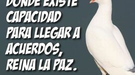 Timeline: Acuerdos de paz