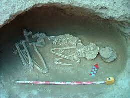 Cultura de los sepulcros de fosa