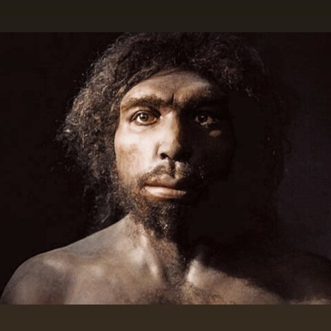 Homo Antecessor y Heidelbergensis