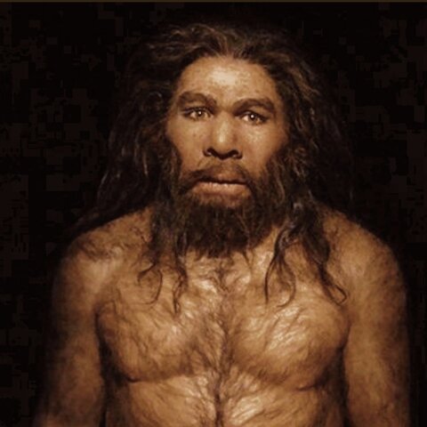 Homo Neandertal