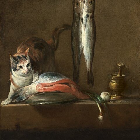 Reavivación del bodegón