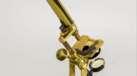 Timeline: HITOS E LA MICROSCOPÍA