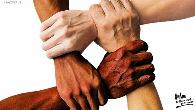 Eliminación racial.