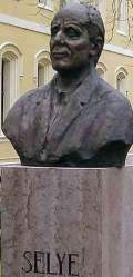 Selye János életműve