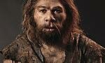 Homo neanderthalis