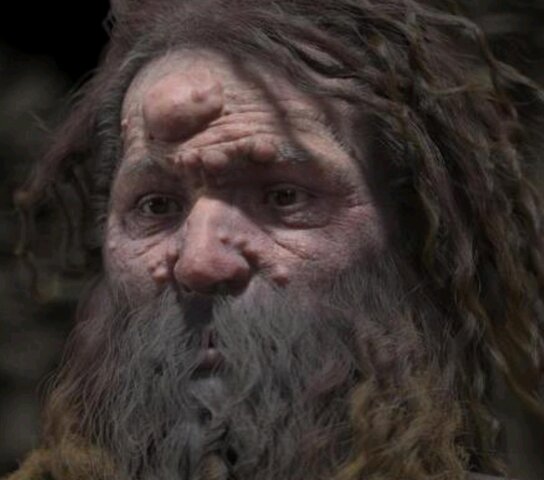 Hombre de Cromañón (Homo Sapiens Sapiens)