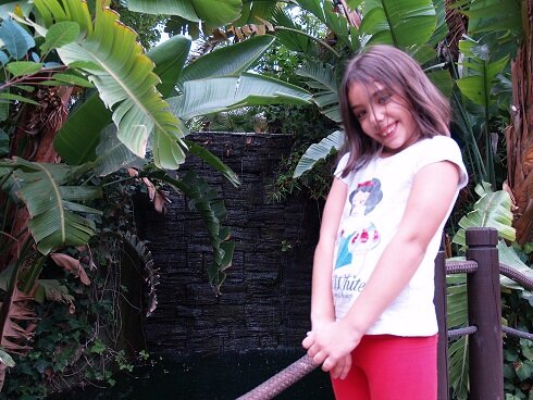 Entrada a la Primaria