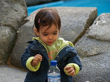 Primera vegada al zoo