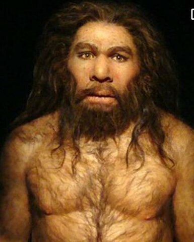 Homo neandertalnsis