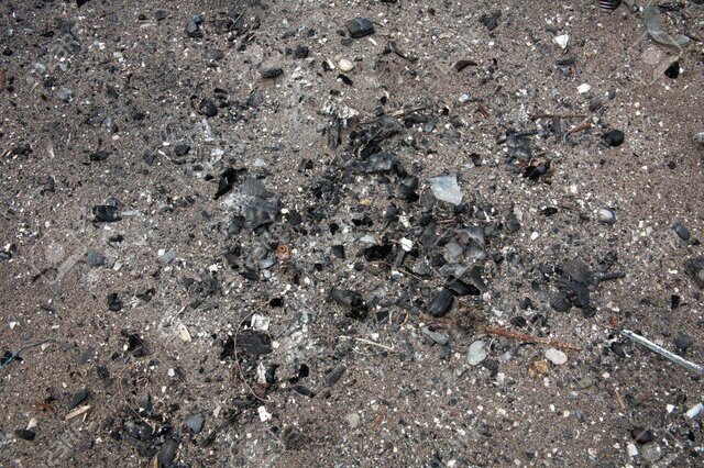 200 millones años - En esa misma epoca