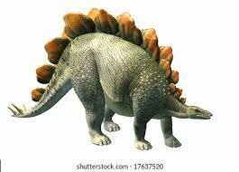 250 millones de años