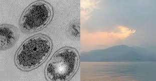 540 millones de años