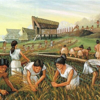 Timeline: Historia de los conceptos de causa y enfermedad: paralelismo entre la Medicina y la Fitopatología