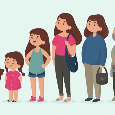 Timeline: Etapas del desarrollo