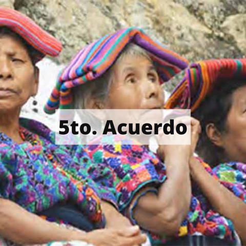 Identidad de los Pueblos Indígenas