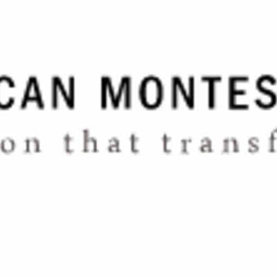 Timeline: AMS Timeline