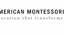 Timeline: AMS Timeline