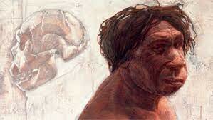 Homo heidelbergensis
