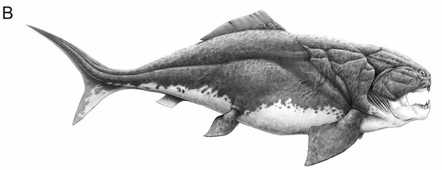 Dunkleosteus